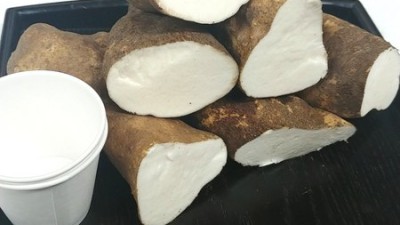 3kg5kg 참마산마 특가! 솔직후기 & 구매꿀팁🍯