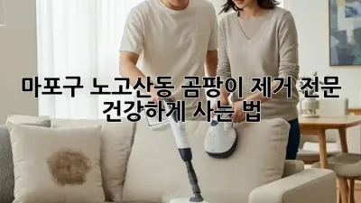 마포구 노고산동 곰팡이 제거 전문: 건강하게 사는 법